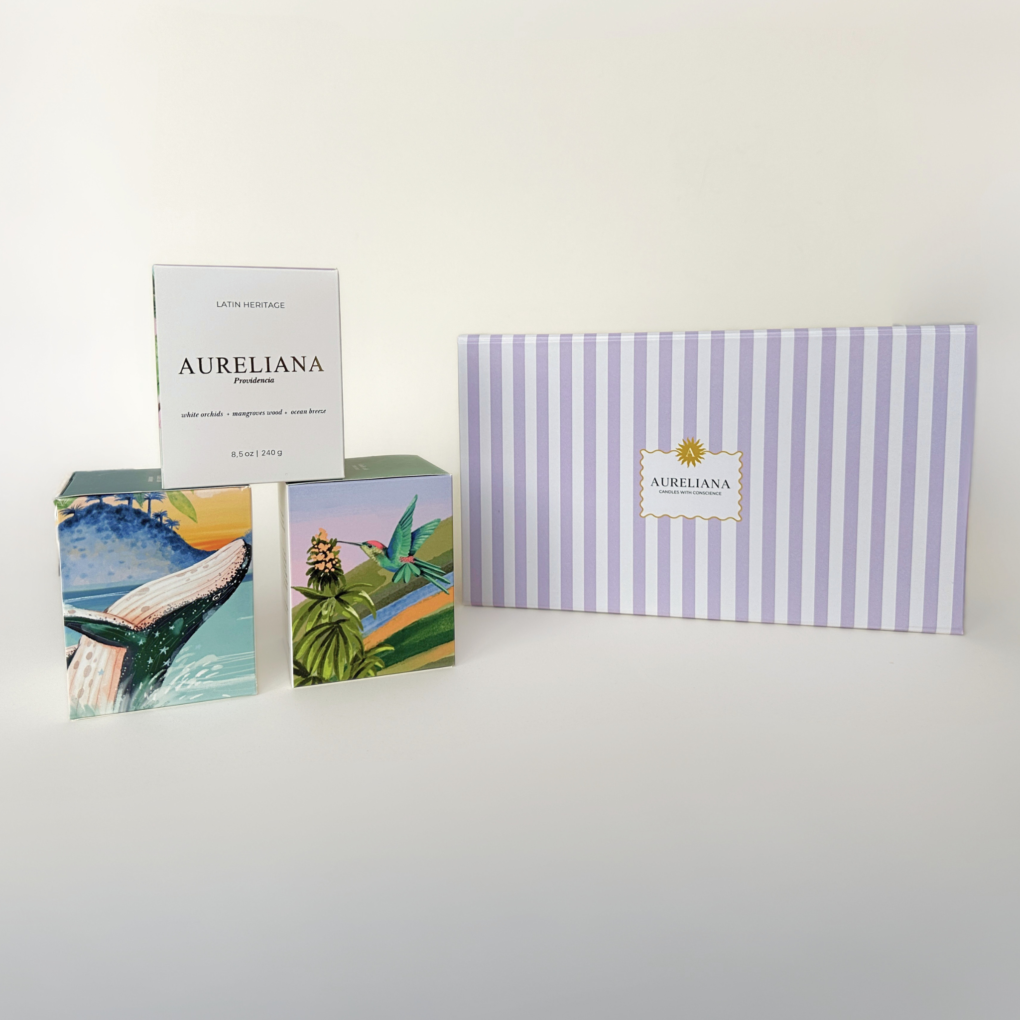 Magic Gift Box - Limited Edition
