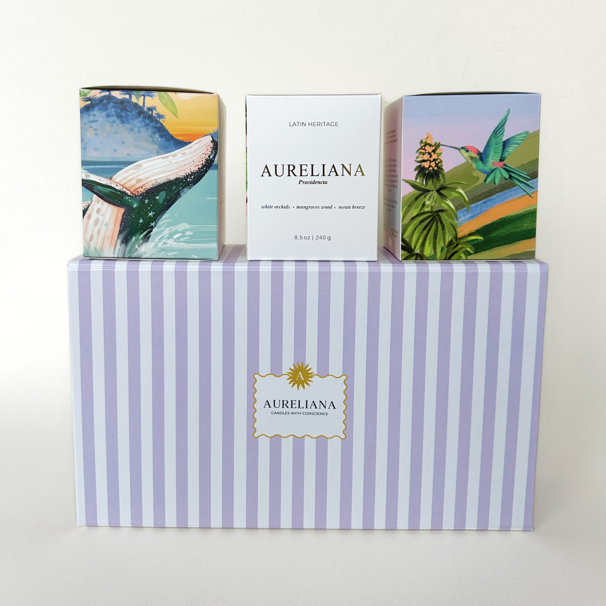 Magic Gift Box - Limited Edition