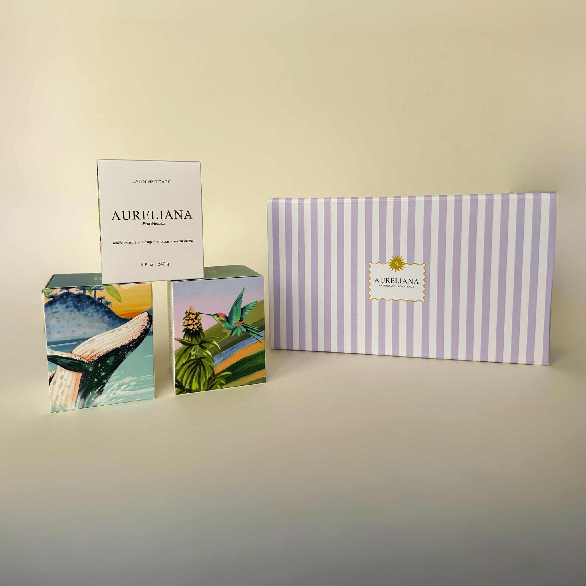 Magic Gift Box - Limited Edition